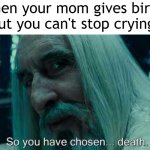 I want to stop crying | When your mom gives birth, but you can't stop crying: | image tagged in so you have chosen death,memes,funny | made w/ Imgflip meme maker