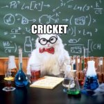 Cricket but a cat