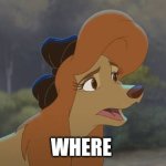 Where | WHERE | image tagged in dixie is like who are you,the fox and the hound 2,mgm,new actress | made w/ Imgflip meme maker