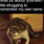 Loading cat | So can you tell me a little bit about yourself? Me struggling to remember my own name: | image tagged in loading cat,relatable | made w/ Imgflip meme maker