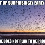 Early Not Productive | I GET UP SURPRISINGLY EARLY FOR; SOMEONE DOES NOT PLAN TO BE PRODUCTIVE | image tagged in birds at dawn | made w/ Imgflip meme maker