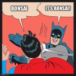 Its bonsai | IT’S BONSAI! BONSAI | image tagged in batman slapping superman | made w/ Imgflip meme maker