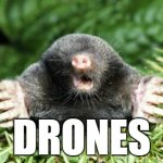 Ello Mole "Drones" | DRONES | image tagged in mole,drones | made w/ Imgflip meme maker