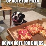 Hungry Pizza Dog | UP VOTE FOR PIZZA; DOWN VOTE FOR DRUGS | image tagged in hungry pizza dog,upvote | made w/ Imgflip meme maker