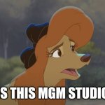 Is This MGM Studio | IS THIS MGM STUDIO | image tagged in dixie is like who are you,the fox and the hound 2,actress,hollywood,mgm | made w/ Imgflip meme maker