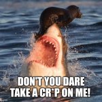 Travelonshark Meme | DON'T YOU DARE TAKE A CR*P ON ME! | image tagged in memes,travelonshark | made w/ Imgflip meme maker