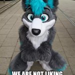 Furry hates on my little pony | NO MORE MY LITTLE PONY IN FURRY FANDOM ALLOWED; WE ARE NOT LIKING MY LITTLE PONY FURRY LIFESTYLE ANYMORE | image tagged in furry | made w/ Imgflip meme maker