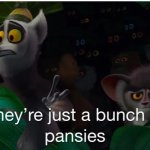 king Julien pansies madagascar