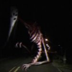 God Of Roadkill
