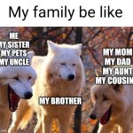 ?️ | My family be like; ME
MY SISTER 
MY PETS
MY UNCLE; MY MOM
MY DAD
MY AUNT
MY COUSINS; MY BROTHER | image tagged in 2/3 wolves laugh | made w/ Imgflip meme maker