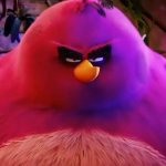 Angry Birds Terence