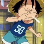 kid luffy