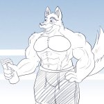 Buff Wolf