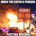 Black Lives Matter | WHEN YOU CATCH A PENGUIN; PLOTTING MISCHIEF | image tagged in black lives matter | made w/ Imgflip meme maker