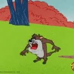 Tasmanian devil GIF Template