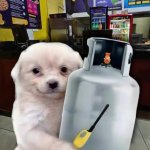 Perro con tanque de gas Meme Generator - Imgflip