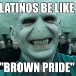 Latinos be like: "Brown pride" | LATINOS BE LIKE; "BROWN PRIDE" | image tagged in voldemort | made w/ Imgflip meme maker
