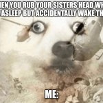 I was just one rub oh my gooood! | WHEN YOU RUB YOUR SISTERS HEAD WHEN THERE ASLEEP BUT ACCIDENTALLY WAKE THEM UP; ME: | image tagged in ptsd dog | made w/ Imgflip meme maker