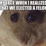 actually | MY FACE WHEN I REALIZED THAT WE ELECTED A FELON | image tagged in hampter,politics | made w/ Imgflip meme maker