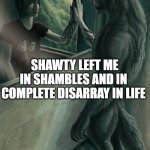 Wolf looking in mirror | SHAWTY LEFT ME IN SHAMBLES AND IN COMPLETE DISARRAY IN LIFE | image tagged in wolf looking in mirror | made w/ Imgflip meme maker