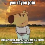 join pls | you if you join; (https://imgflip.com/m/There_Are_No_Rules) streem for free upvote | image tagged in chill guy | made w/ Imgflip meme maker