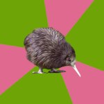 Kiwi pinwheel bird