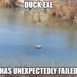 duckcicle | DUCK.EXE; HAS UNEXPECTEDLY FAILED | image tagged in duckcicle | made w/ Imgflip meme maker