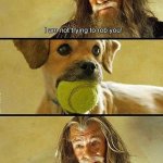 Gandalf with dog