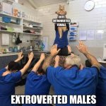 Introvert female power | CUTE
INTROVERTED
FEMALE; EXTROVERTED MALES | image tagged in people worshipping the cat,introvert,extrovert,personality,psychology,dating | made w/ Imgflip meme maker