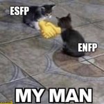 Allies in talking about their ideas | ESFP; ENFP | image tagged in cats shaking hands,esfp,enfp,mbti,myers briggs,personality | made w/ Imgflip meme maker