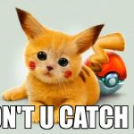 Pikachu cat | Y DON'T U CATCH ME? | image tagged in pikachu cat | made w/ Imgflip meme maker