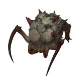 Armured headcrab