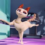 carlos cat