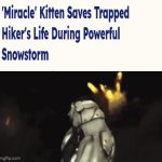 Heroic kitten | image tagged in gifs,blank white template,kitten,memes,it's enough to make a grown man cry,snowstorm | made w/ Imgflip video-to-gif maker