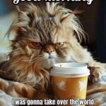 Morning cat meme