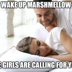 Wake Up Babe | WAKE UP MARSHMELLOW; THE GIRLS ARE CALLING FOR YOU! | image tagged in wake up babe,crush,marshmallow,game,event | made w/ Imgflip meme maker