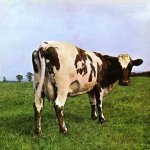 Pink Floyd Cow