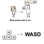 What puberty did to me  | WASD | image tagged in what puberty did to me,memes,funny | made w/ Imgflip meme maker