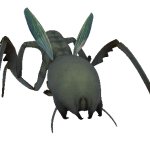 Antilion worker