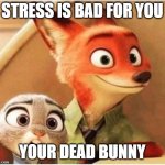 Stress is bad for you | STRESS IS BAD FOR YOU; YOUR DEAD BUNNY | image tagged in zootopia two reactions | made w/ Imgflip meme maker