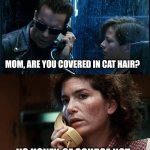 Damn cat hair | DO YOU HAVE CATS AT HOME? YEA, TWO; MOM, ARE YOU COVERED IN CAT HAIR? NO HONEY, OF COURSE NOT; YOUR PARENTS ARE DEAD | image tagged in t2 back and forth | made w/ Imgflip meme maker