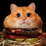 Burger Cat