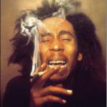 Bob Marley Logic