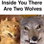 Inside you there are two derp wolves