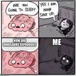 brain