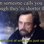 Wrong | When someone calls you short even though they’re shorter than you: | image tagged in every word of what you just said was wrong | made w/ Imgflip meme maker