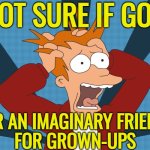 God Is An Imaginary Friend For Grown Ups | NOT SURE IF GOD; OR AN IMAGINARY FRIEND
FOR GROWN-UPS | image tagged in futurama fry screaming,god,anti-religion,god religion universe,religion,gods | made w/ Imgflip meme maker