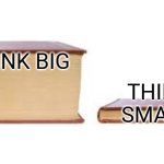 Think big or small | THINK BIG; THINK SMALL | image tagged in big book small book,funny memes | made w/ Imgflip meme maker