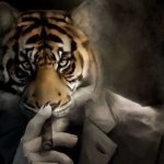 tiger smoking cigar