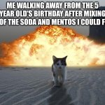 KABLOOWEY!! | ME WALKING AWAY FROM THE 5 YEAR OLD'S BIRTHDAY AFTER MIXING ALL OF THE SODA AND MENTOS I COULD FIND: | image tagged in cat explosion,memes | made w/ Imgflip meme maker